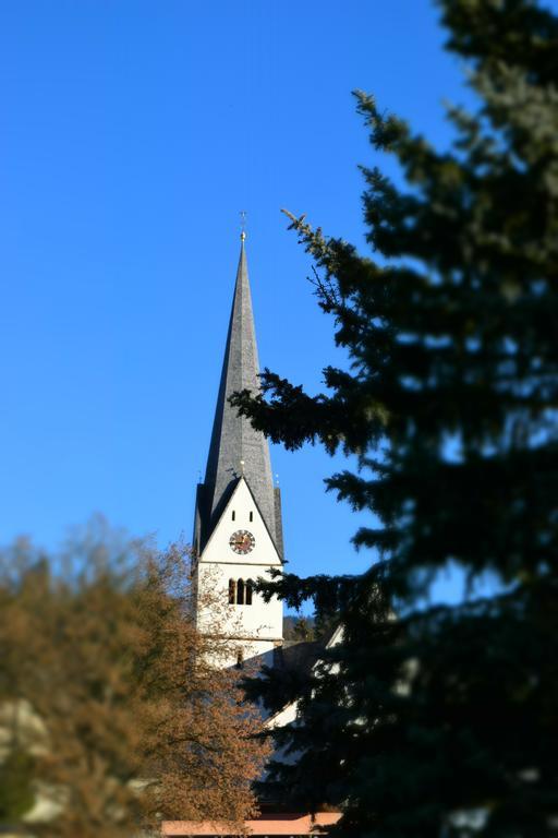 Pension Vocario Pfarrwerfen Exteriör bild